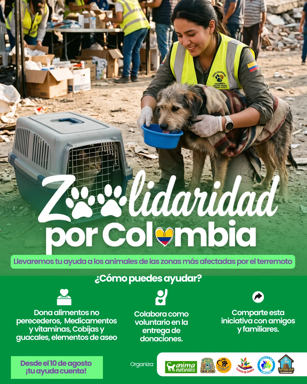 Voluntaria con chaleco de rescate da agua a un perro junto a un guacal, entre escombros