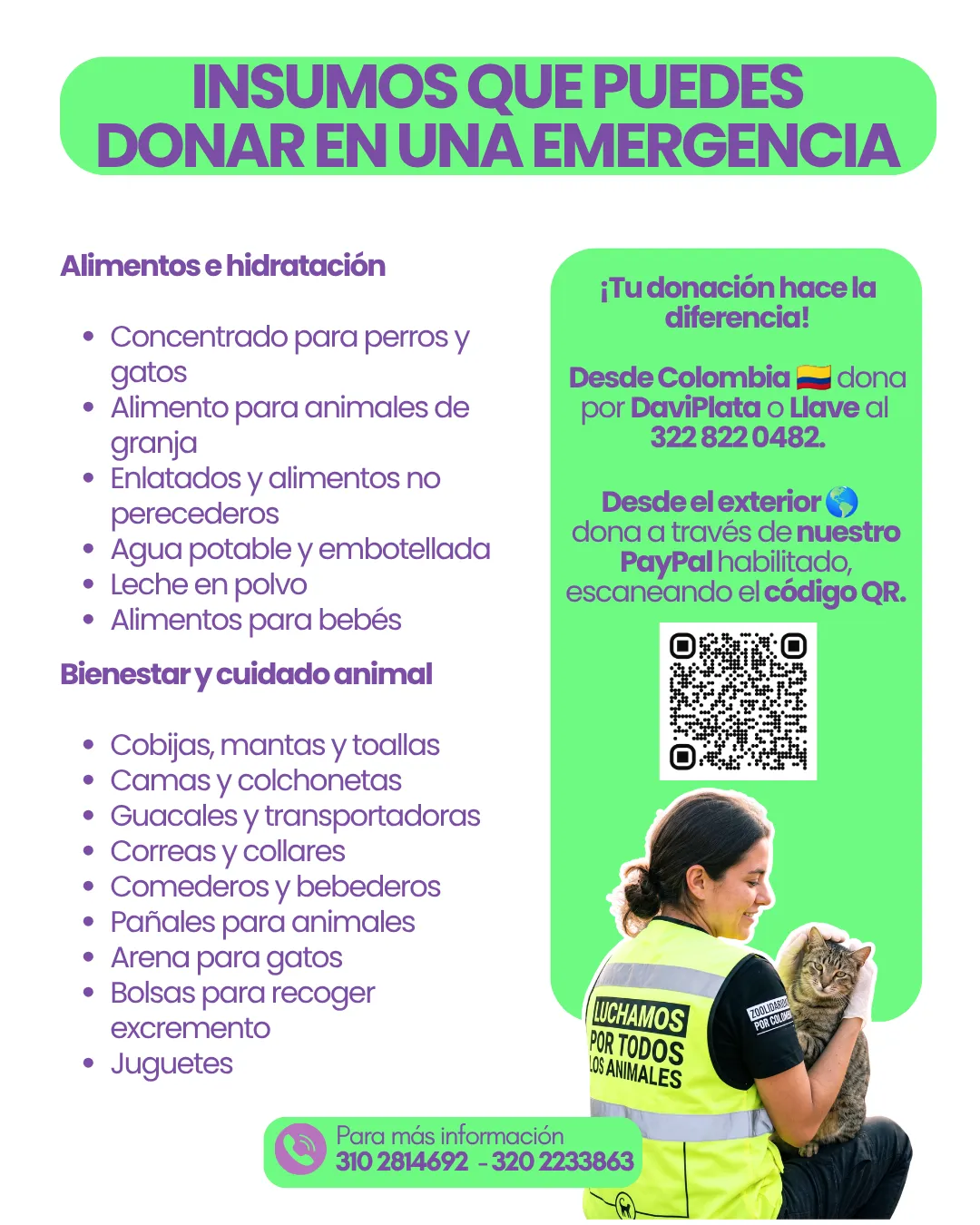 Insumos que puedes donar en una emergencia: alimentos, hidratación, bienestar y cuidado animal